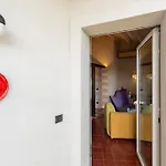 Sampierisuite *